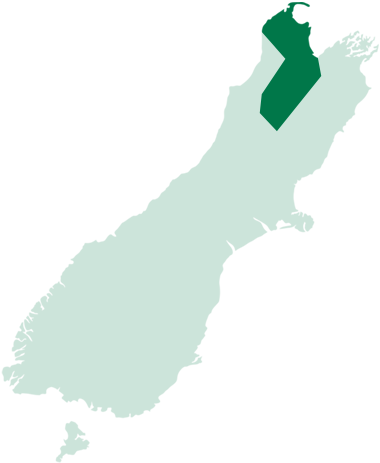 Tasman map banner