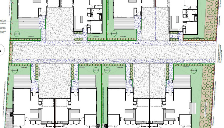 Allen Street Morrinsville landscape plan AA111811