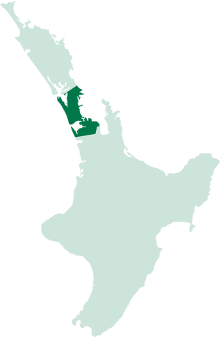 Auckland map banner