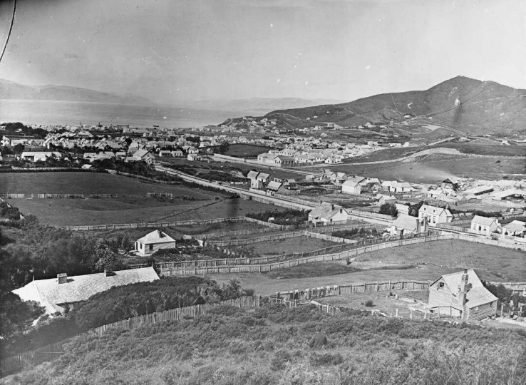 1868 Wellington city including Te Aro from the vicinity of Brookyn Road shows Hopper and Taranaki Streets far right