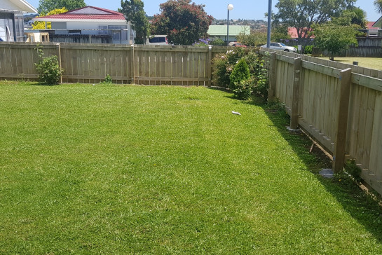 Akld fencing work