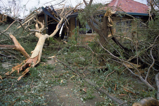 Storm damage image